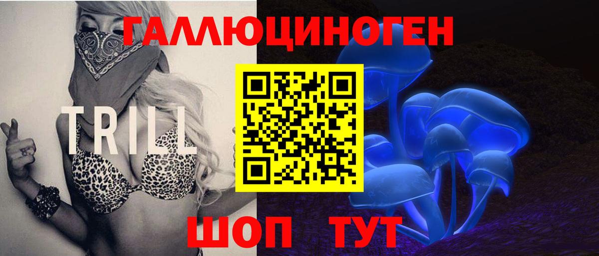 Галлюциногенные грибы Psilocybe Туапсе