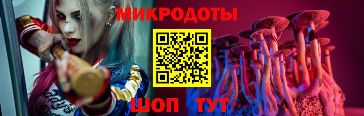 Псилоцибиновые грибы Psilocybine cubensis  Вход с VPN  Туапсе  Галлюциногенные грибы GOLDEN TEACHER 